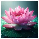 essuie lunette fleur de lotus 2.webp